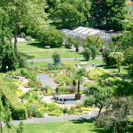 Botanischer Garten Kassel De Der Offizielle Internetauftritt