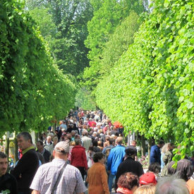 Botanischer Garten Kassel De Der Offizielle Internetauftritt