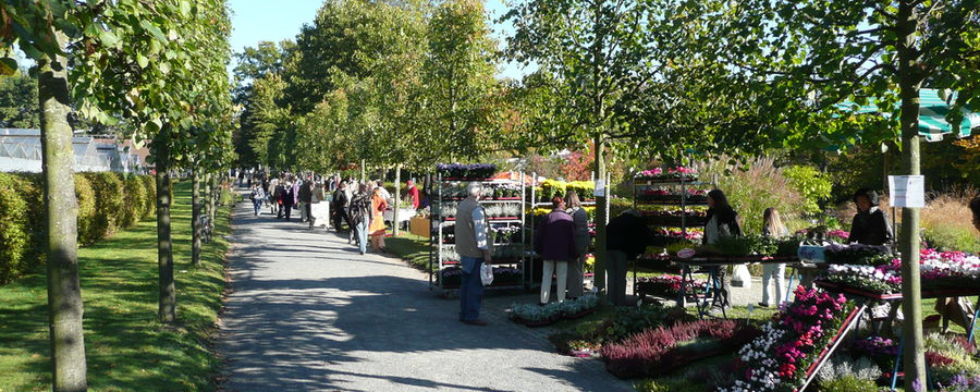 Herbst Pflanzenborse Im Botanischen Garten Kassel De Der