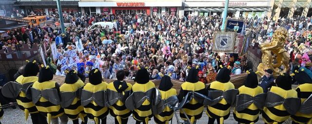 Die Bienen der Kasseler Stadtgarde verteidigen das Rathaus