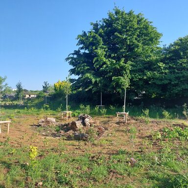 Bepflanzte Versickerungsmulde in einem großen Garten