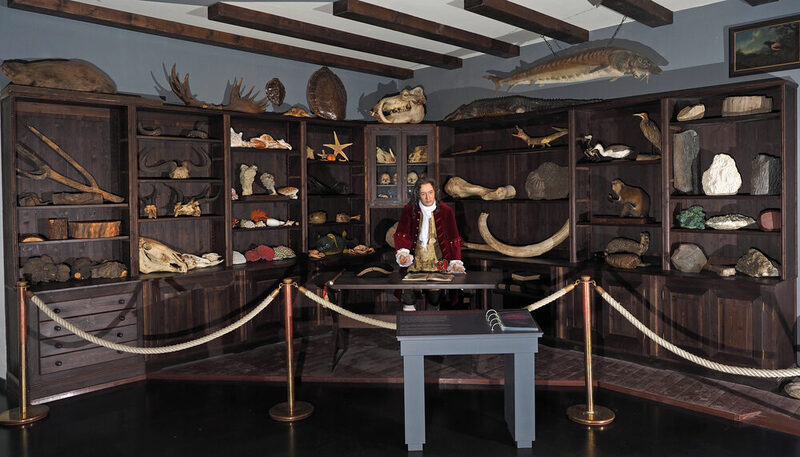 Landgraf Karl steht als Figur in seinem Raritätenkabinett - einem Sammelsurium aus naturkundlichen Objekten.