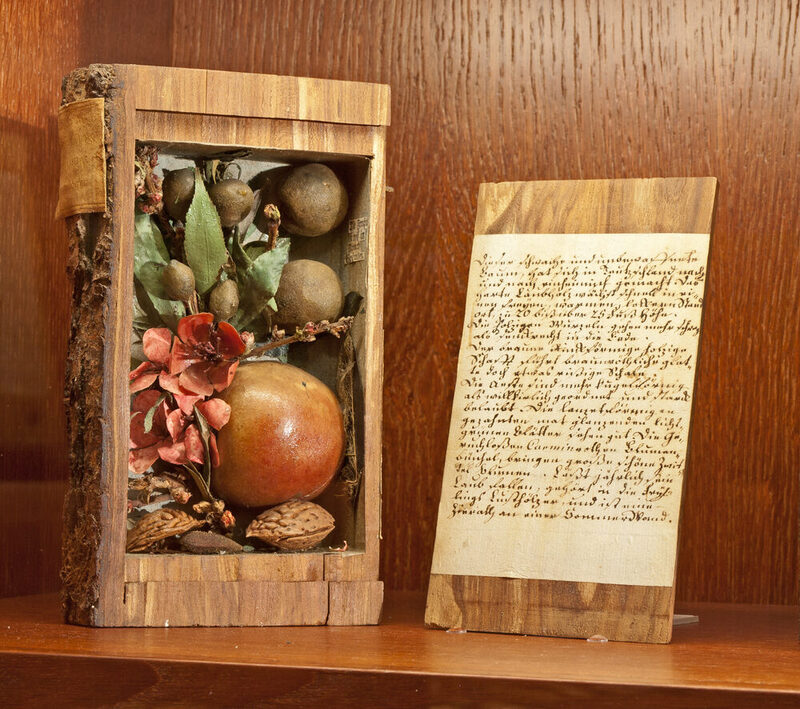 Detailaufnahme des Pfirsichs aus der schildbachschen Holzbibliothek mit nachgebildeten Früchten, Blättern und Blüten.