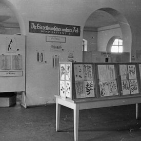 Schwarz-Weiß-Foto, Eiszeitausstellung noch im stark zerstörten Ottoneum 1951. Im Vordergrund ist auf einem Tisch ein Herbarium ausgestellt.