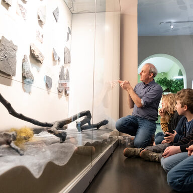 Ein Mann zeigt Kindern Fossilien in einer Vitrine