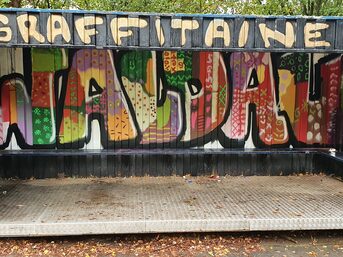 Graffiti-Aktion für Container im Wahlebachpark